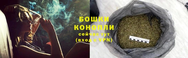 амф Покачи