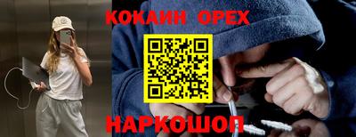 индика Дубна