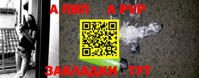 индика Дубна