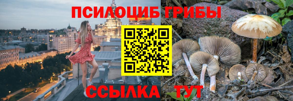 Псилоцибиновые грибы Magic Shrooms Абинск
