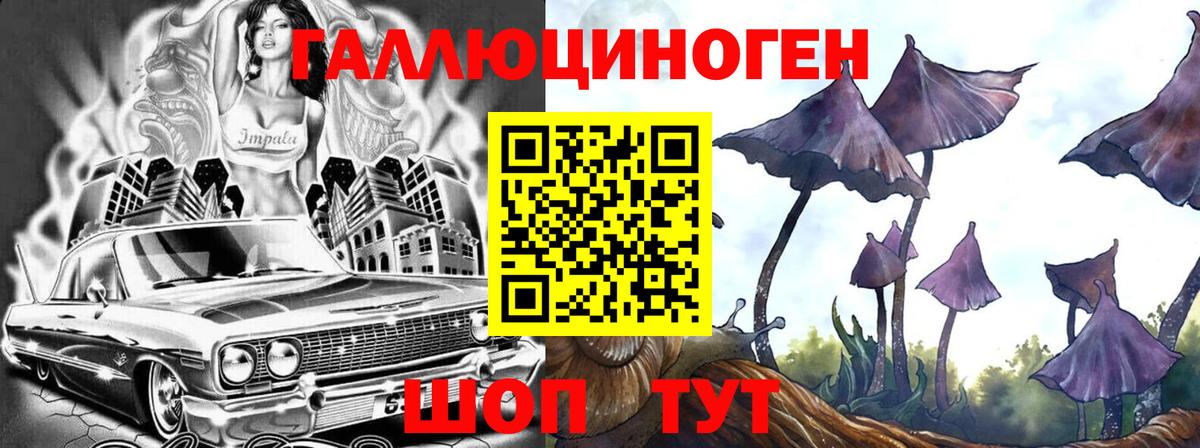 Псилоцибиновые грибы MAGIC MUSHROOMS  Вход с VPN  Псилоцибиновые грибы MAGIC MUSHROOMS  продажа наркотиков  Абинск 